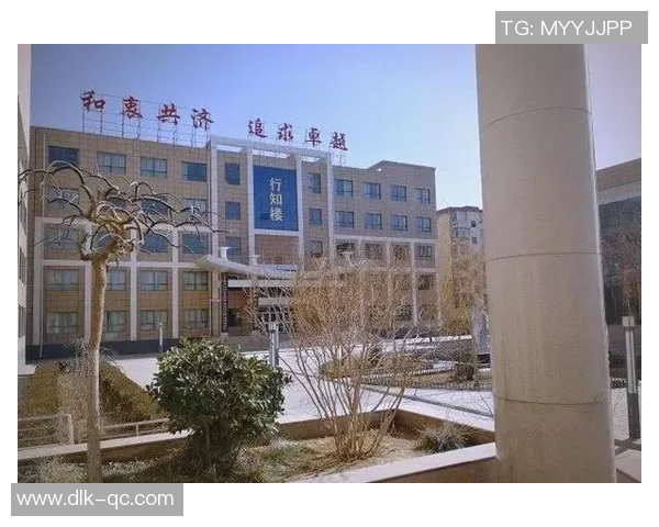 深圳排球队的蜕变之路：从传统强队到现代化竞技新标杆