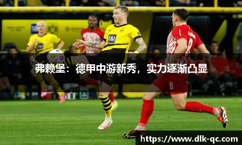 BB贝博登录入口