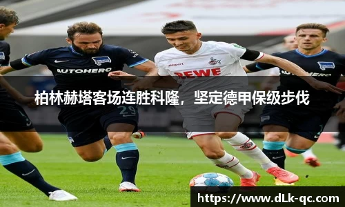 BB贝博登录入口