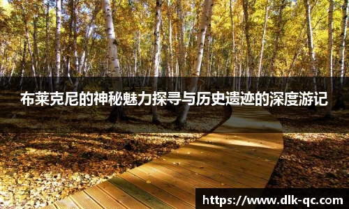 BB贝博登录入口