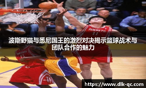 BB贝博登录入口