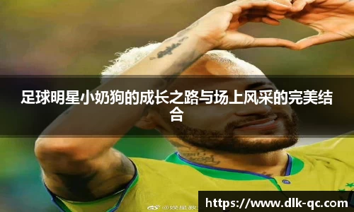 BB贝博ballbet