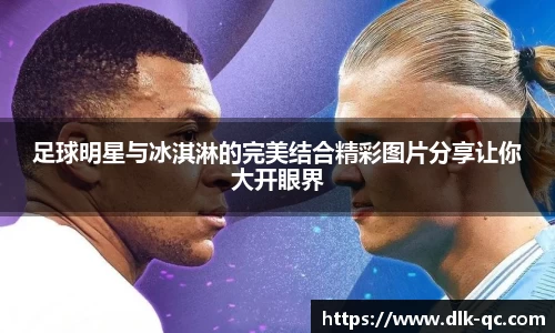 BB贝博登录入口