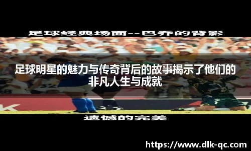 BB贝博登录入口