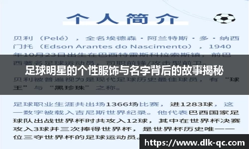 BB贝博登录入口